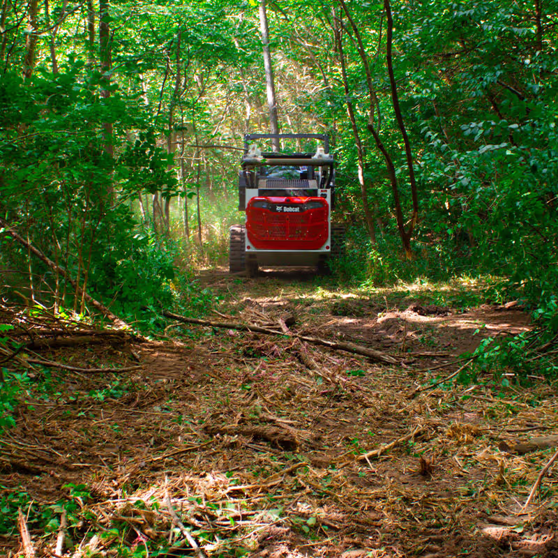 Bobcat skid steer clearing wooded trail access path
